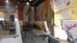 Blocs & Walls