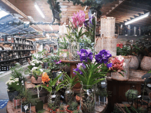 Bristol Blomstergaard