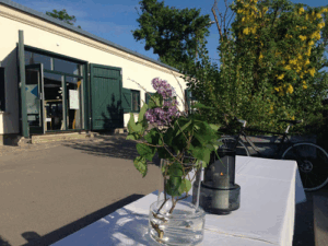 Design Werck