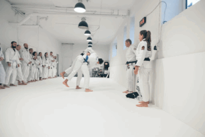 Hive Brazilian Jiu-Jitsu
