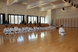 Kami Karate Academy