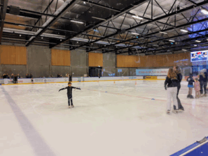 Ørestad Skøjtehal