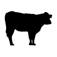 Vaca